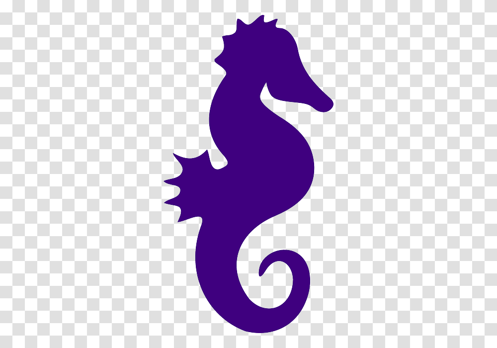 Seahorse, Animals, Silhouette, Mammal, Cat Transparent Png