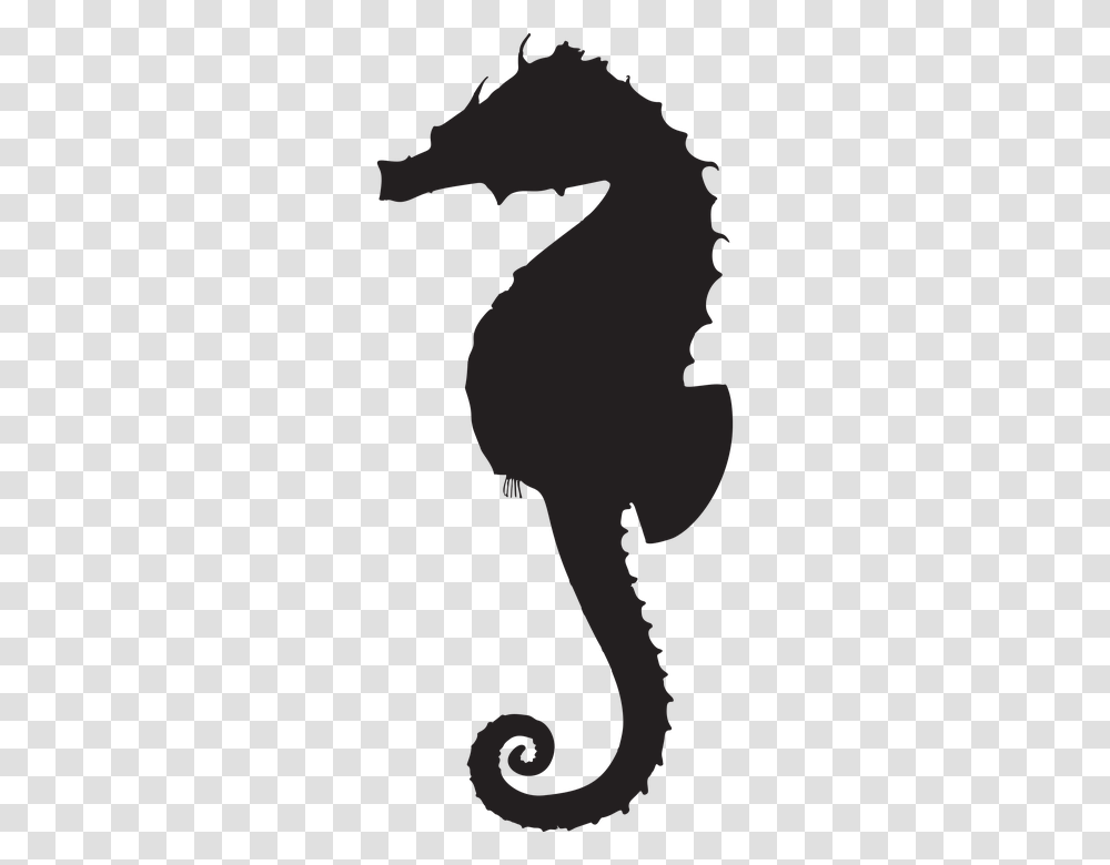 Seahorse, Animals, Silhouette, Person, Face Transparent Png