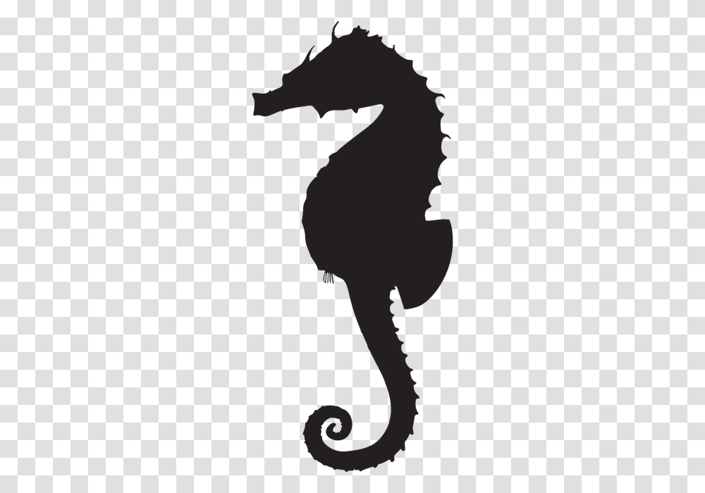 Seahorse, Animals, Silhouette, Person, Worship Transparent Png