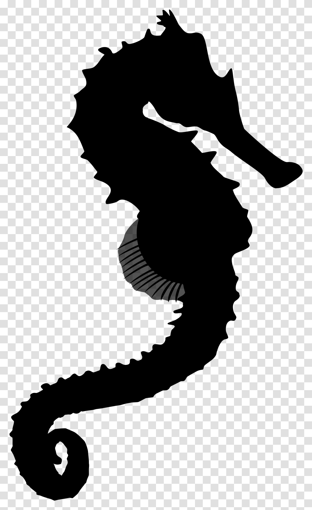 Seahorse Black Amp White Illustration, Gray, World Of Warcraft Transparent Png