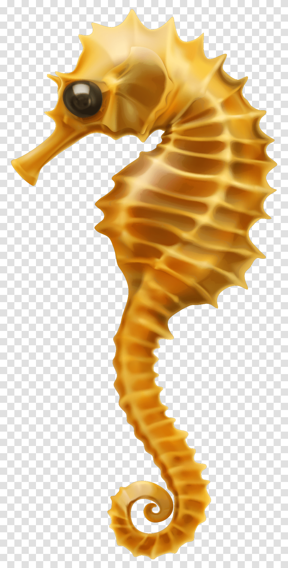 Seahorse Clip Art Clipart Coral Reef Fish Seahorse, Sea Life, Animal, Mammal, Person Transparent Png