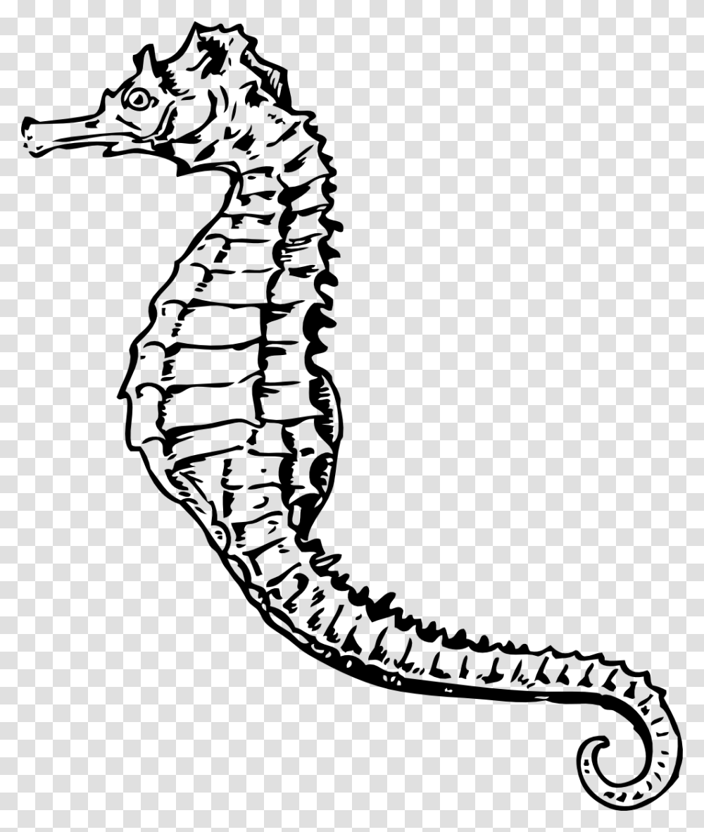 Seahorse Clipart Black And White Letters, Mammal, Animal, Sea Life, Snake Transparent Png