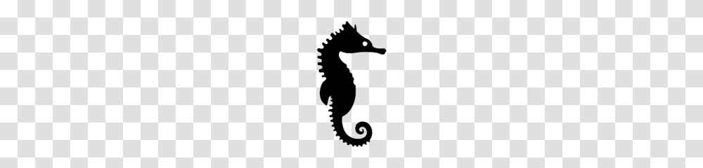 Seahorse Image, Sea Life, Animal, Mammal Transparent Png