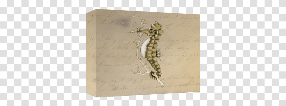 Seahorse, Mammal, Animal, Sea Life, Cross Transparent Png