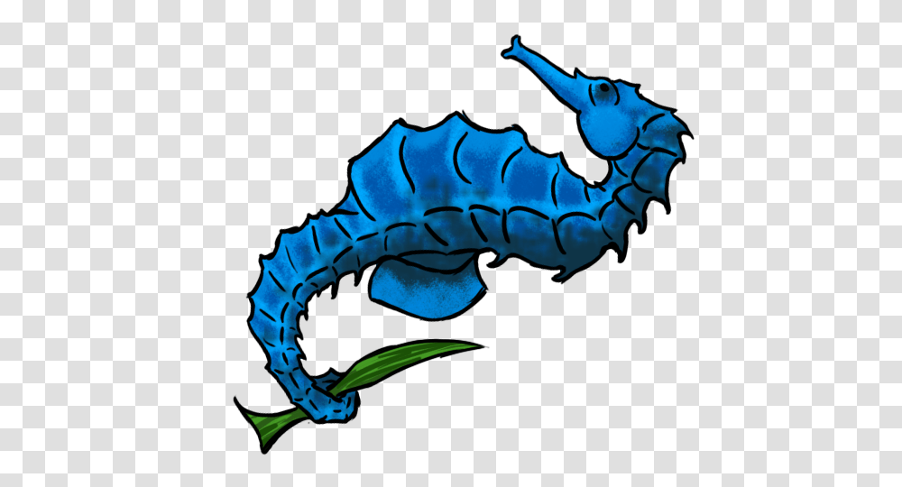 Seahorse Pictures, Animal, Sea Life, Mammal, Invertebrate Transparent Png