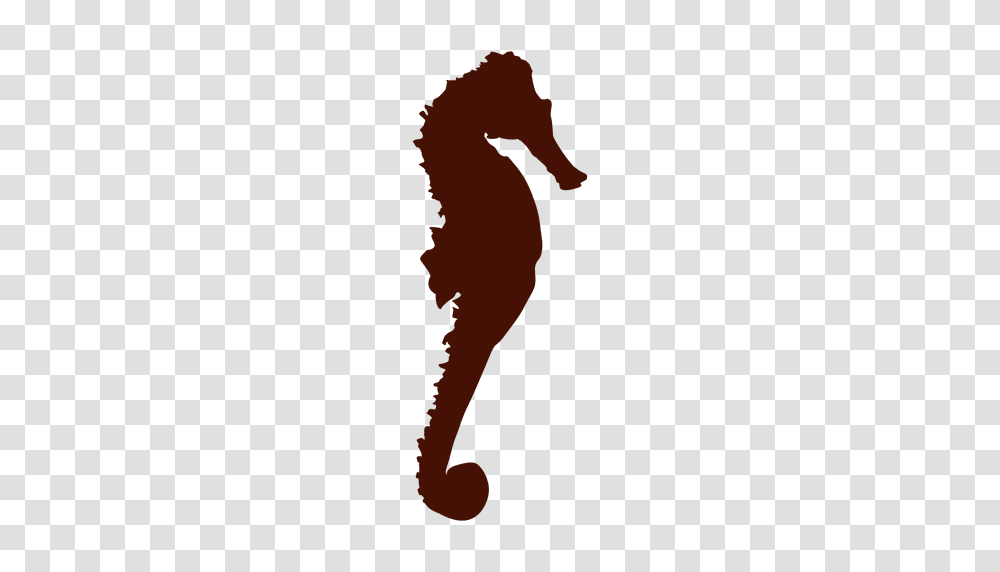 Seahorse Silhouette, Mammal, Animal, Sea Life Transparent Png