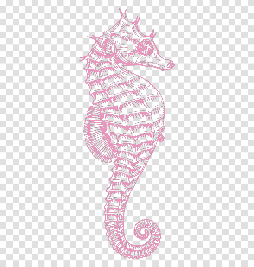Seahorse Svg Clip Art For Web Clipart Seahorse, Plant, Fern, Text, Stencil Transparent Png