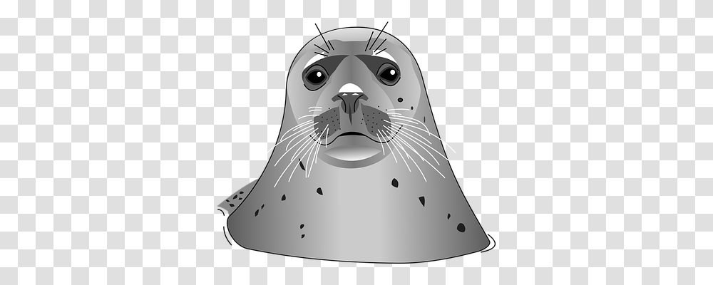 Seal Holiday, Mammal, Sea Life, Animal Transparent Png