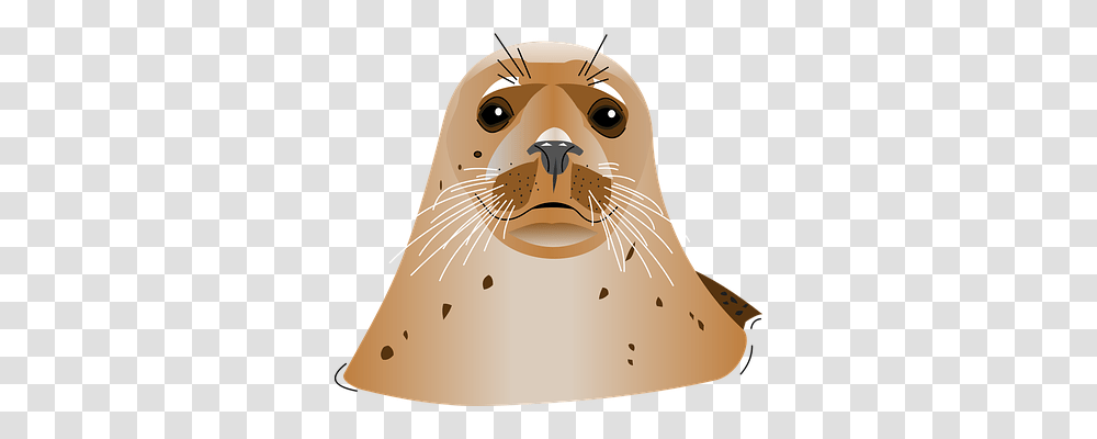 Seal Holiday, Mammal, Sea Life, Animal Transparent Png