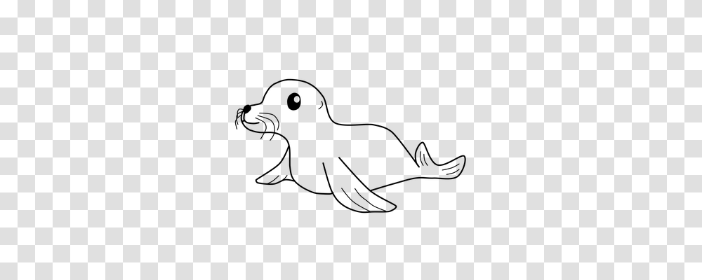 Seal Animals, Gray, World Of Warcraft Transparent Png