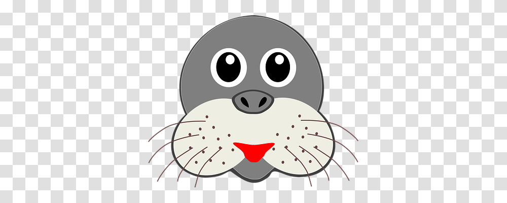 Seal Animals, Mammal, Wildlife, Snout Transparent Png