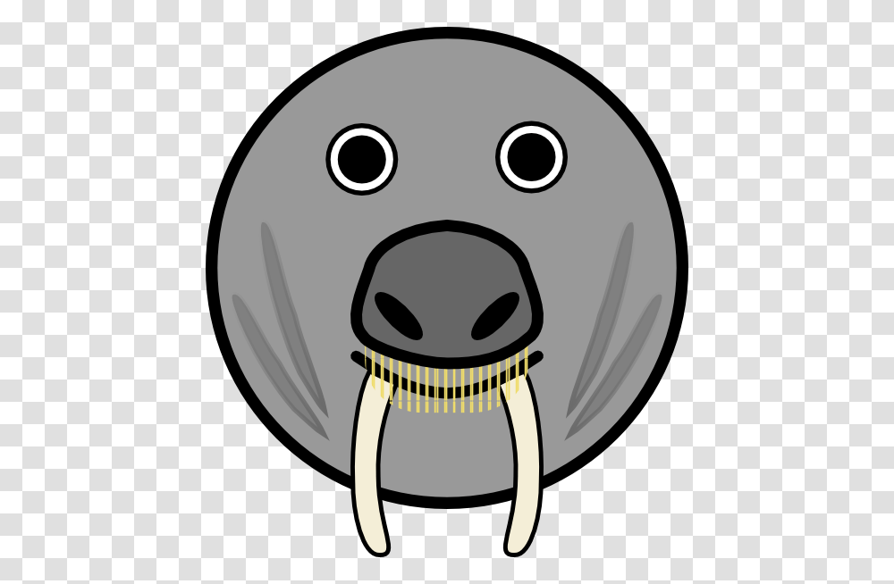 Seal Animal Rounded Face Clip Art, Disk, Mammal, Head, Sea Life Transparent Png