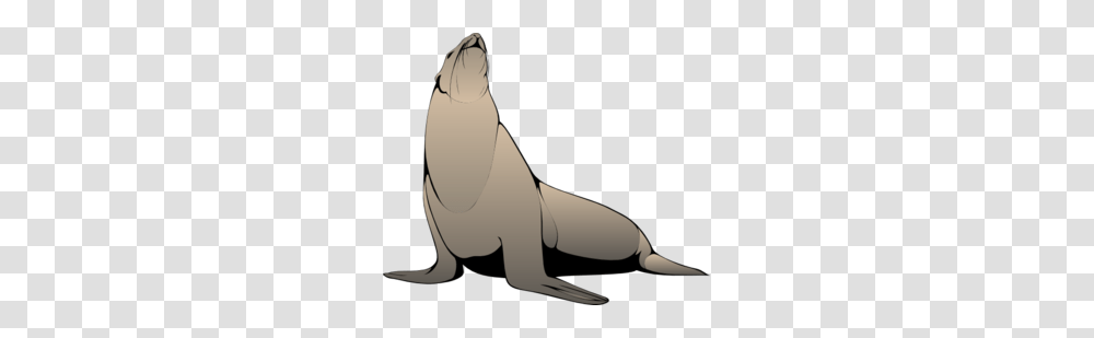 Seal Clip Art, Animal, Mammal, Blow Dryer, Appliance Transparent Png