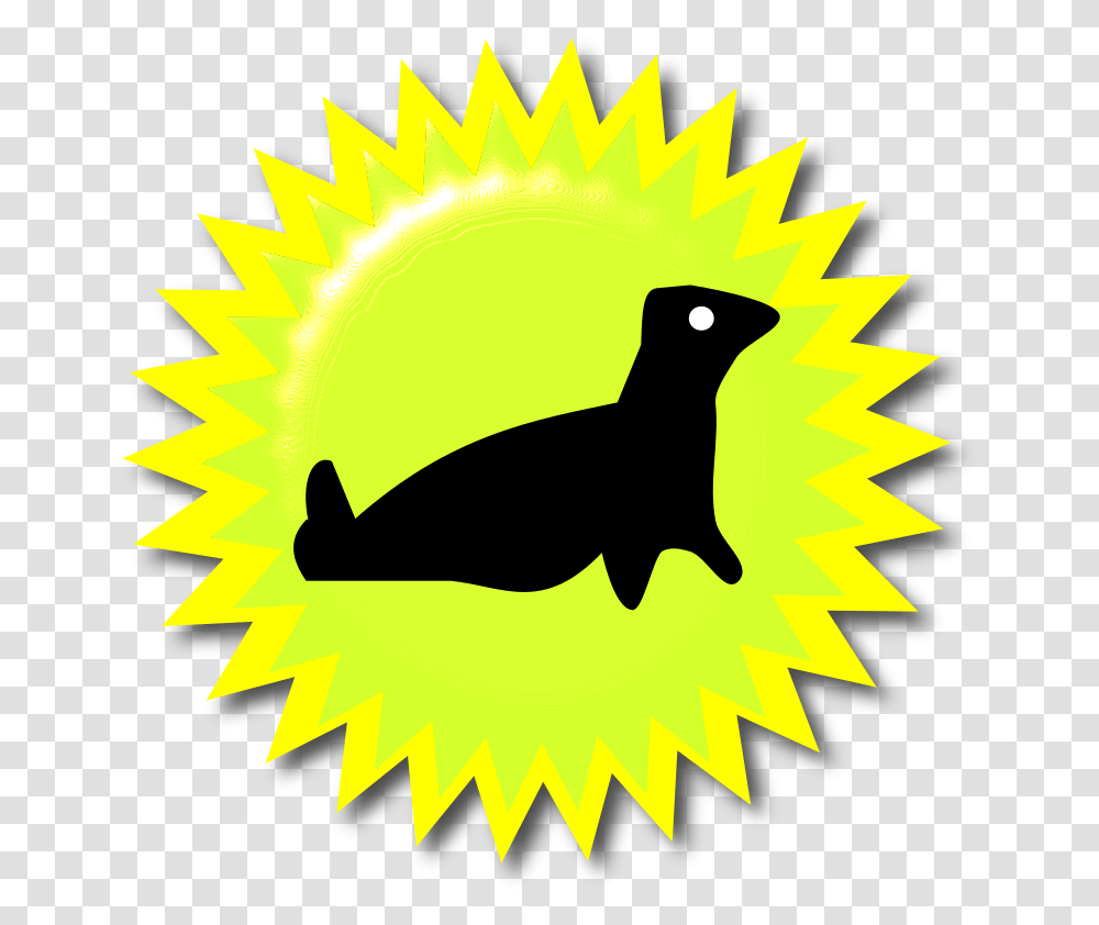 Seal Clip Art, Bird, Animal, Outdoors, Nature Transparent Png