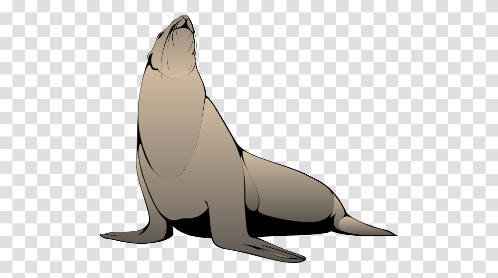 Seal Clip Art, Sea Lion, Mammal, Sea Life, Animal Transparent Png