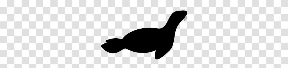 Seal Clip Art, Silhouette, Animal, Mammal, Sea Life Transparent Png