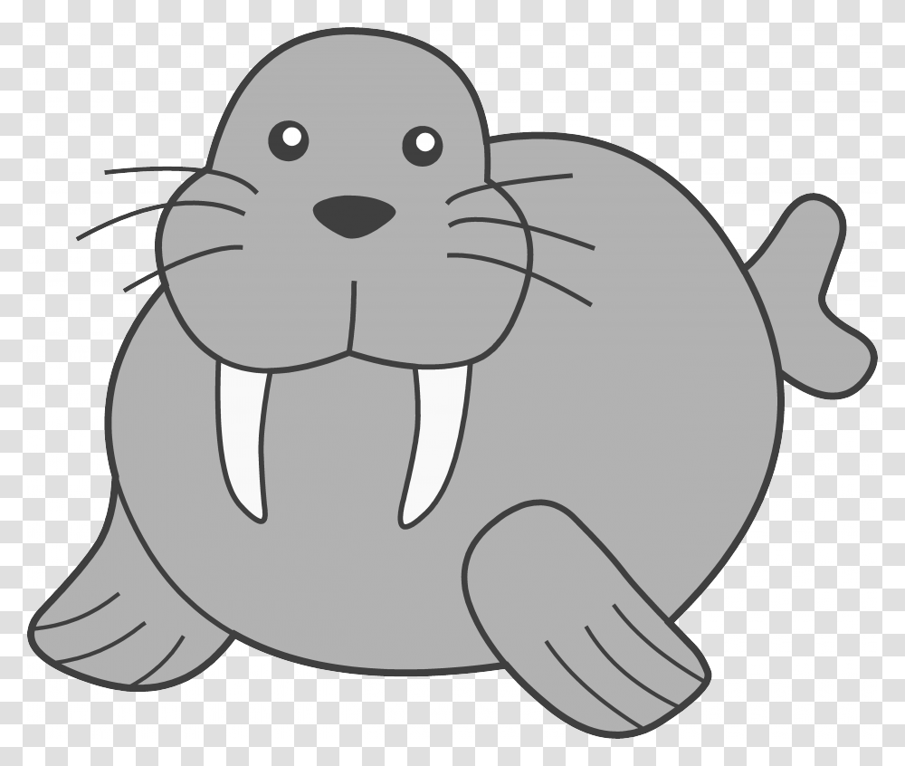 Seal Clipart, Walrus, Mammal, Sea Life, Animal Transparent Png