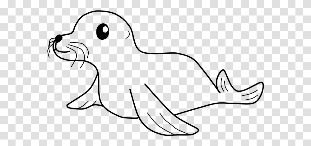 Seal Cute Mammal Wildlife Adorable Marine Aquatic Seal Images Black And White, Gray, World Of Warcraft Transparent Png