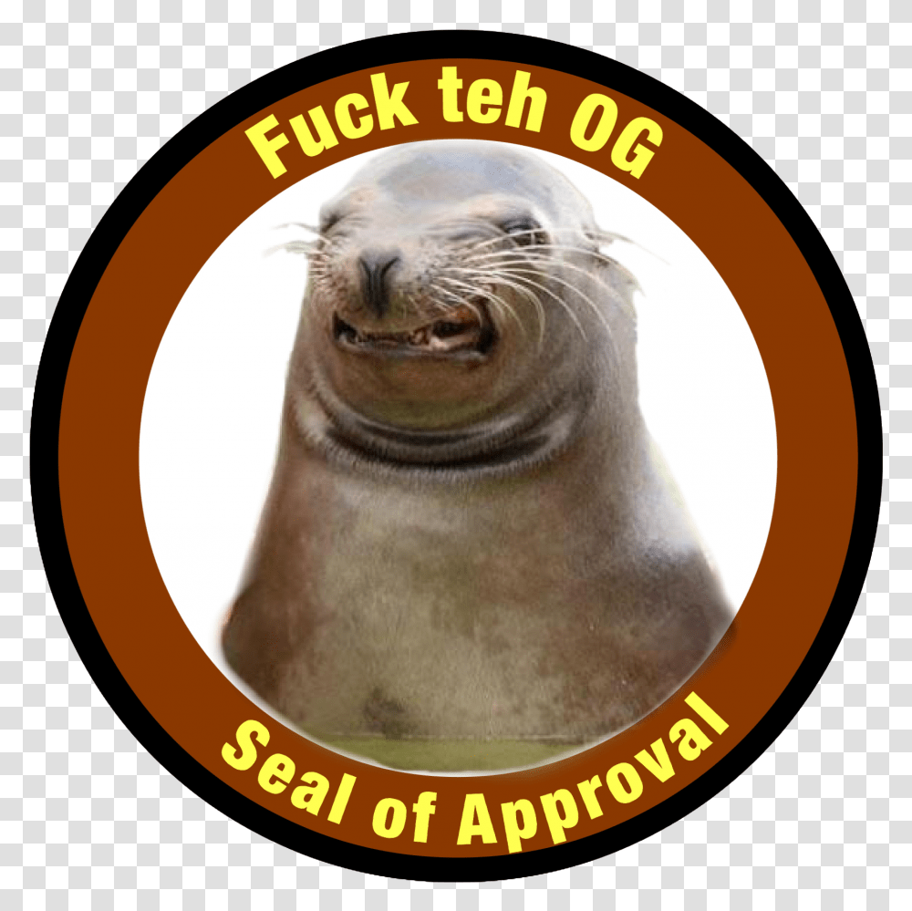Seal Of Approval Tenkovi, Sea Lion, Mammal, Sea Life, Animal Transparent Png