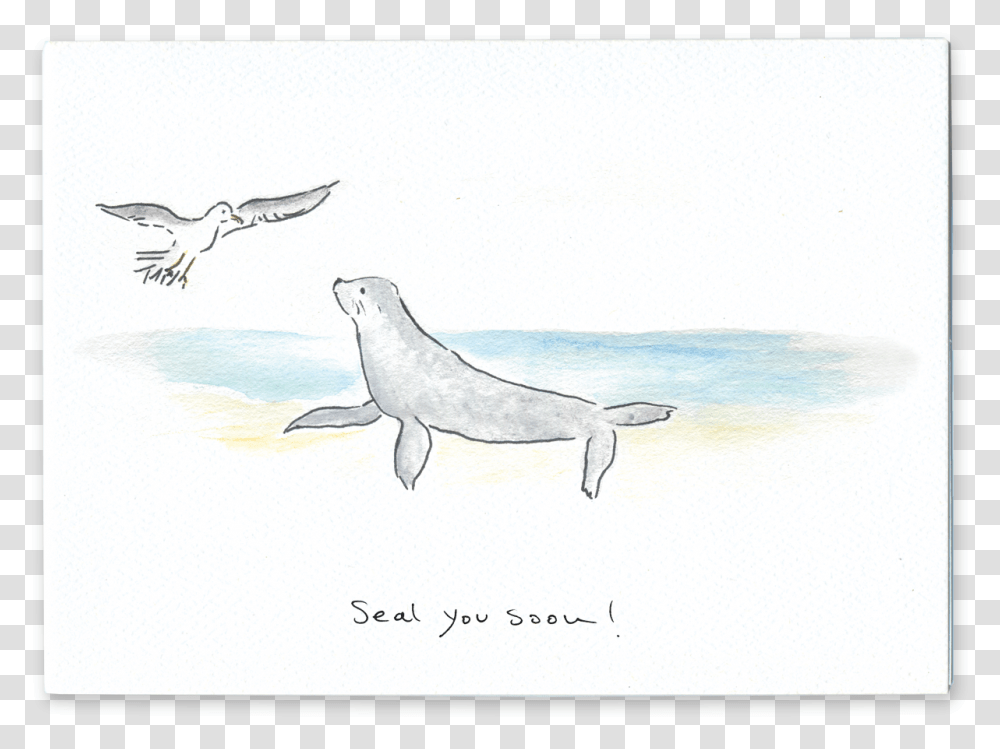 Seal You Soon Sketch, Bird, Animal, Sea Life, Mammal Transparent Png