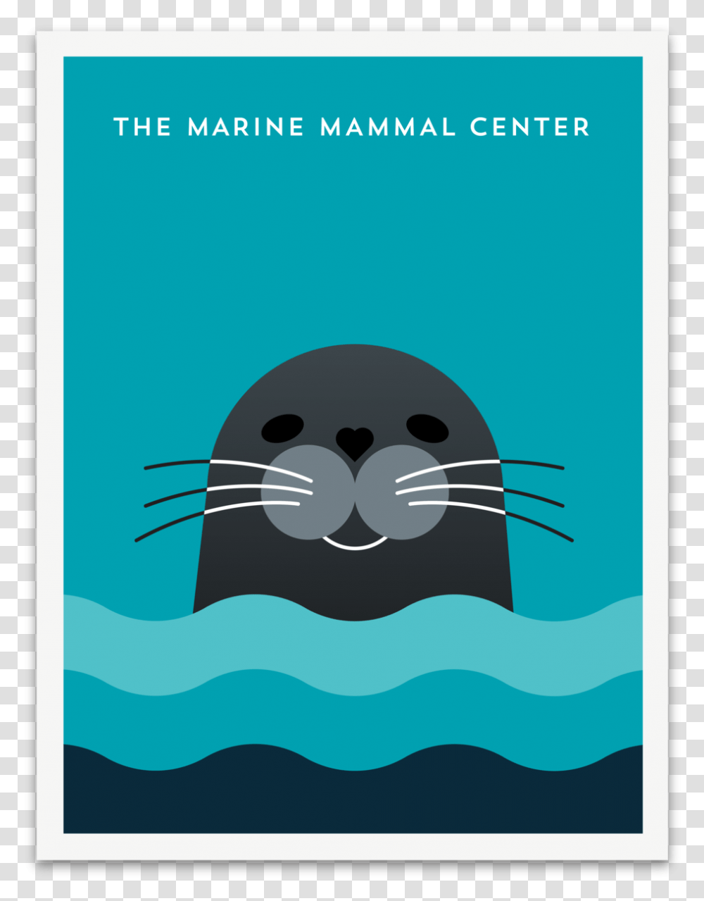 Sealbig, Sea Life, Animal, Mammal, Phone Transparent Png