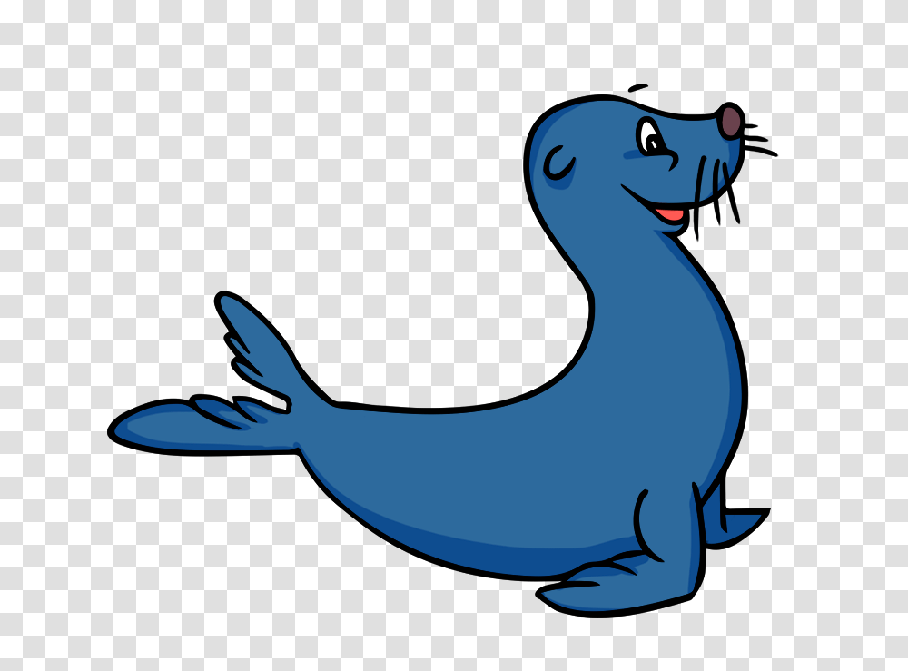 Seals Class, Shark, Sea Life, Fish, Animal Transparent Png