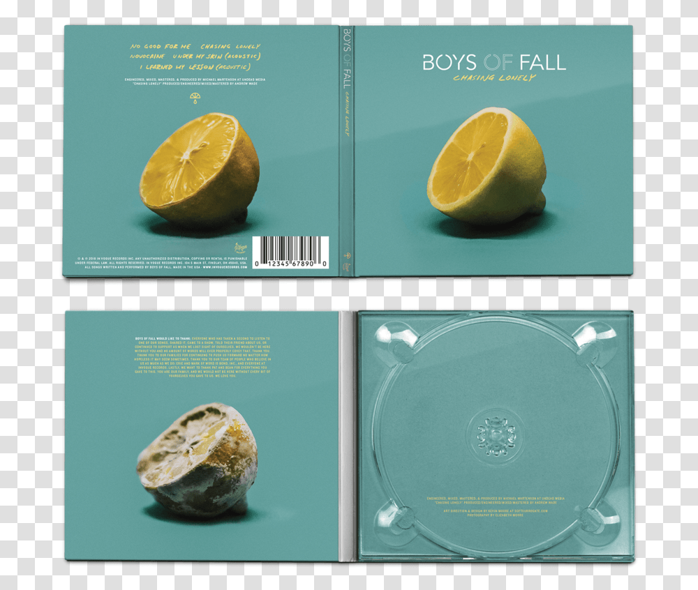 Sean Jenkins The Following Is Placeholder Text Known Lemon, Citrus Fruit, Plant, Food, Lime Transparent Png