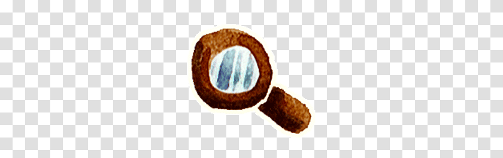 Search, Icon, Plant, Nut, Vegetable Transparent Png
