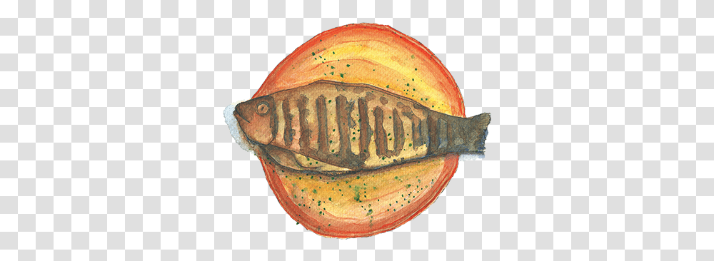 Search Projects Photos Videos Logos Illustrations And Fish Products, Plant, Fossil, Fungus, Sea Life Transparent Png