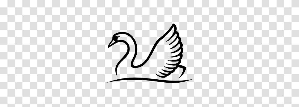 Search Results, Animal, Bird, Waterfowl, Swan Transparent Png