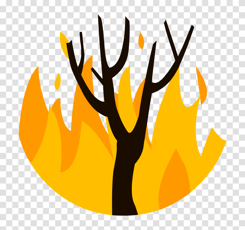 Search Results, Fire, Flame, Bonfire Transparent Png