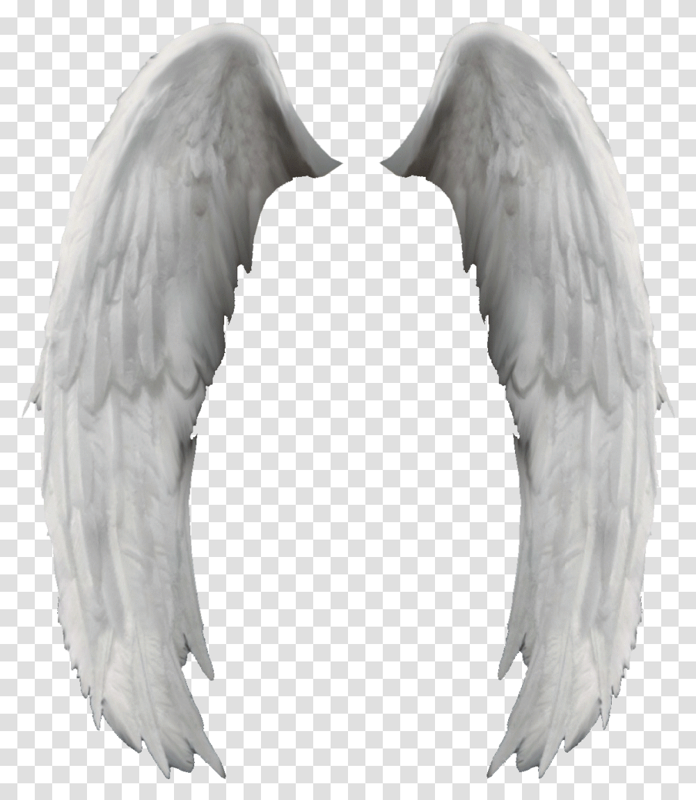 Search Results For Angel Wings Calendar Angel Wings, Bird, Animal, Waterfowl, Swan Transparent Png