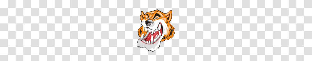 Search Results For Tiger, Teeth, Mouth, Lip, Leisure Activities Transparent Png