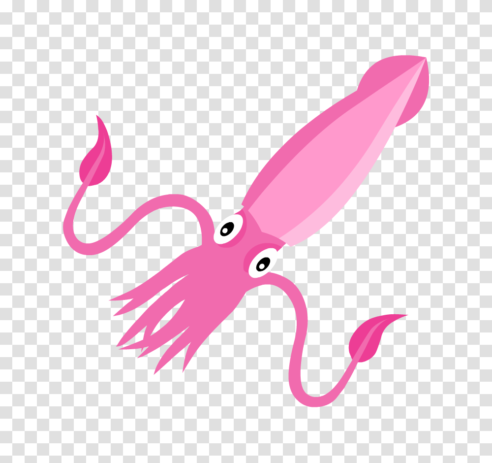 Search Results, Seafood, Squid, Sea Life, Animal Transparent Png