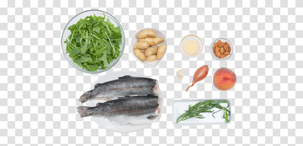 Seared Trout With Peach And Arugula Salad Pacific Sturgeon, Plant, Fish, Animal, Food Transparent Png