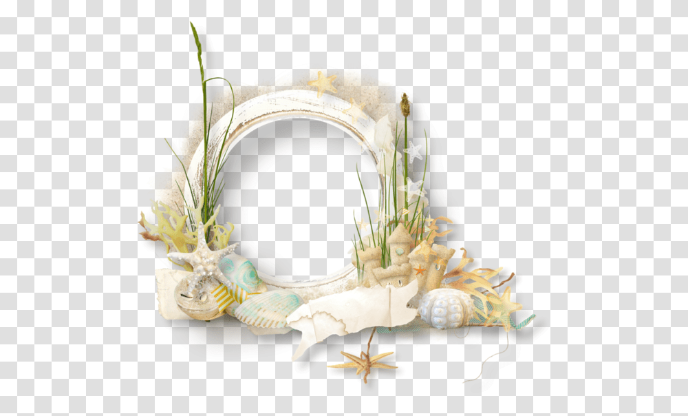 Seashell Background Frame, Plant, Sea Life, Animal, Jar Transparent Png