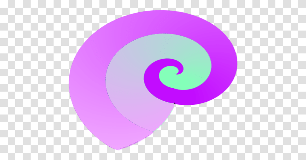 Seashell Circle, Spiral, Balloon, Sphere, Coil Transparent Png