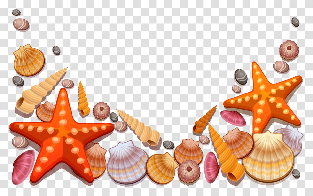 Seashell Clip Art Sea Shells Clipart, Sea Life, Animal, Invertebrate, Conch Transparent Png
