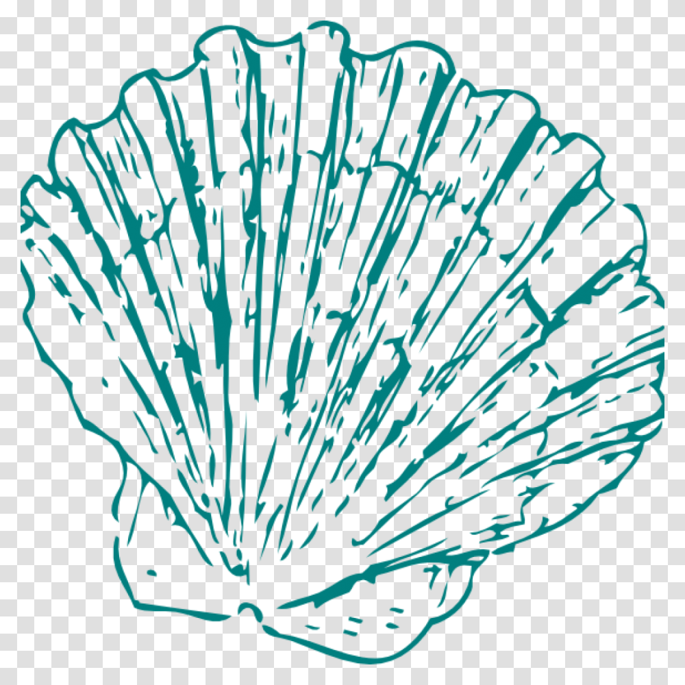 Seashell Clipart Greeen Sea Shell Clip Art At Clker Seashell Clip Art, Reef, Sea Life, Animal, Outdoors Transparent Png