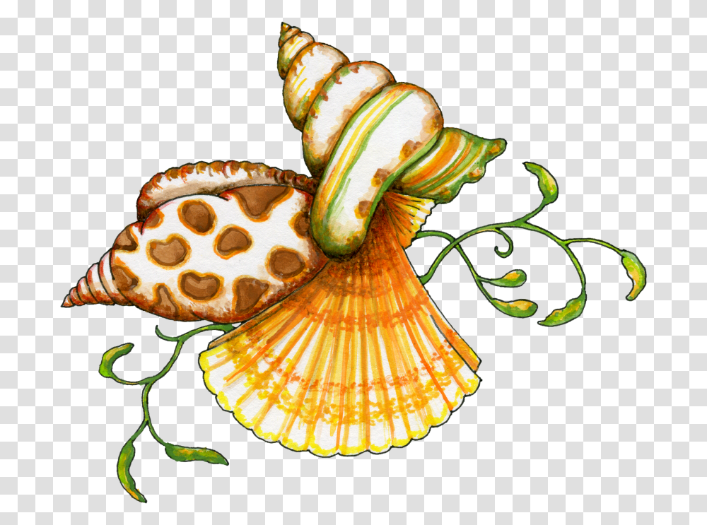 Seashell Clipart, Invertebrate, Animal, Sea Life, Clam Transparent Png