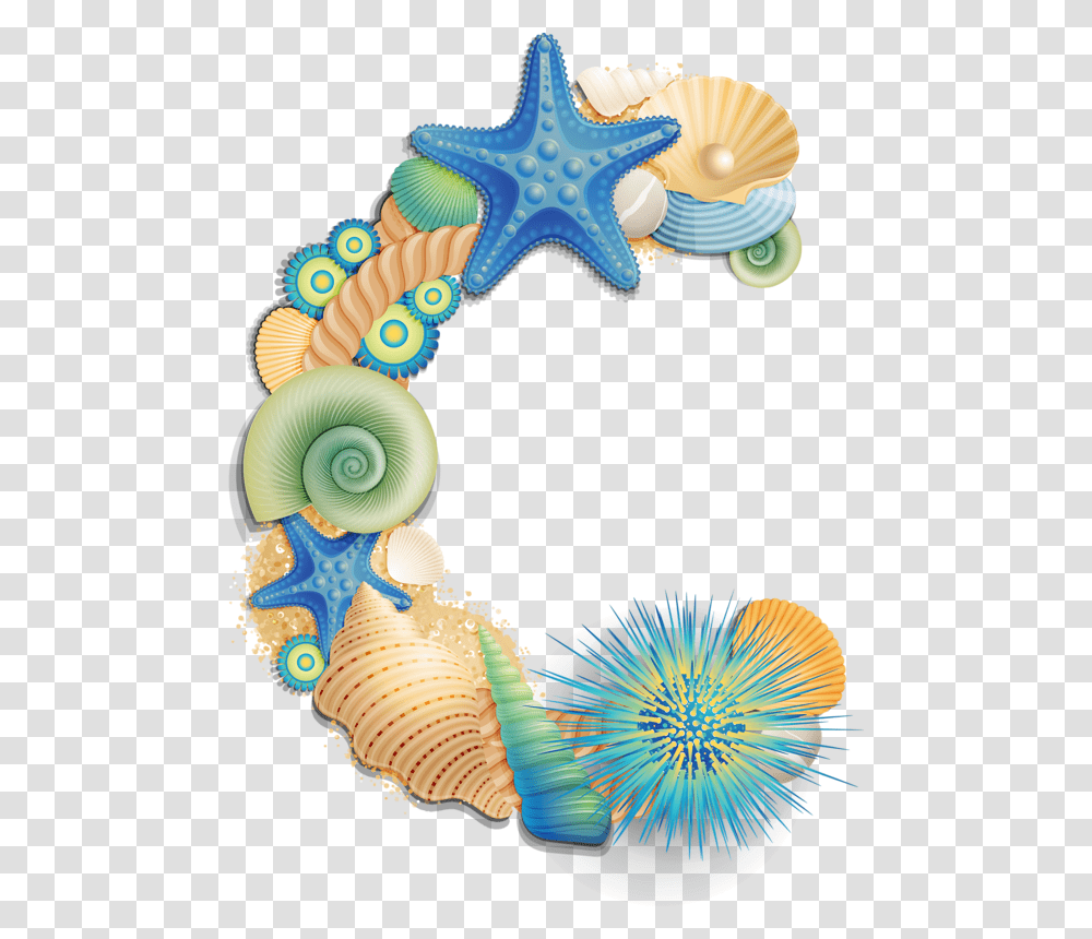 Seashell Clipart Letter M Sea Shell, Pattern, Sea Life, Animal Transparent Png