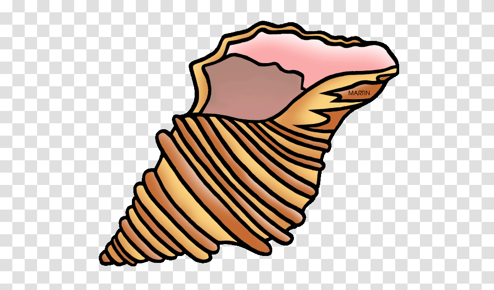 Seashell Clipart To Printable Seashell Clipart, Invertebrate, Sea Life, Animal, Conch Transparent Png