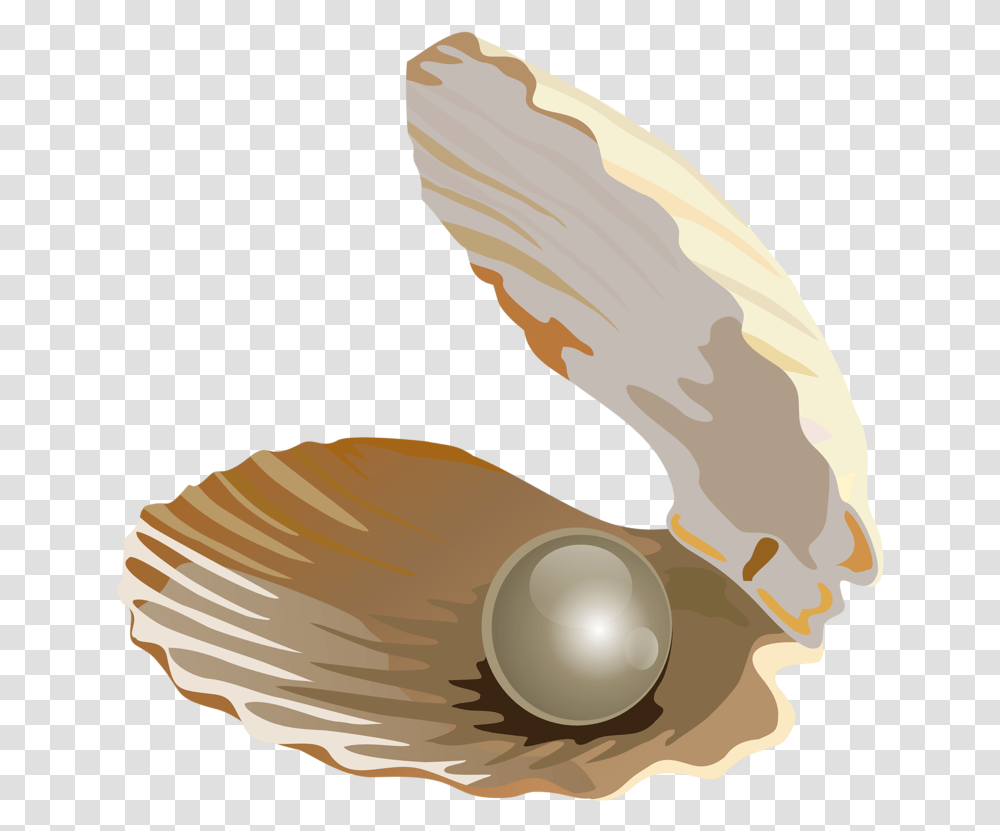 Seashell Download Jewellery Transprent Pearl Shell Without Background, Accessories, Accessory, Jewelry, Animal Transparent Png