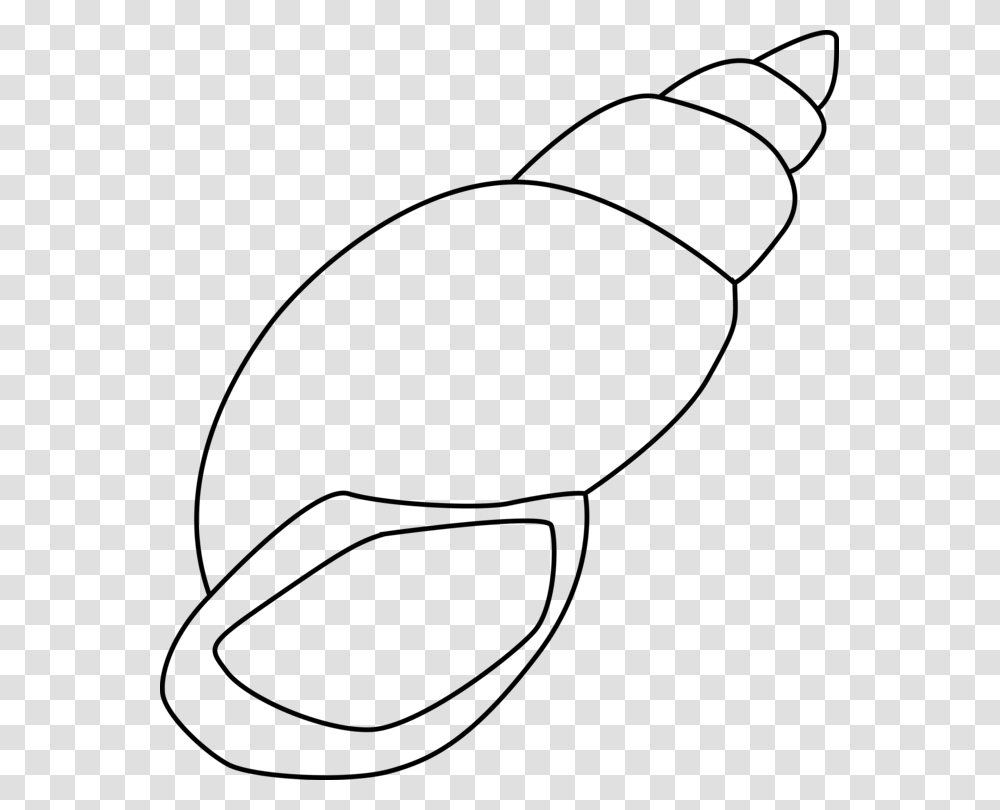 Seashell Drawing Gastropod Shell Black And White Mollusc Shell, Gray, World Of Warcraft Transparent Png
