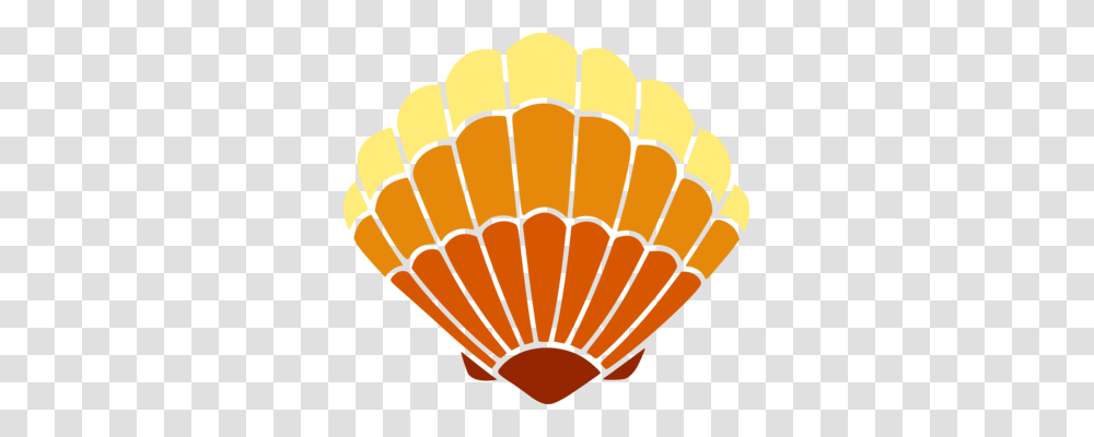 Seashell Images Under Cc0 License, Sea Life, Animal, Invertebrate, Clam Transparent Png