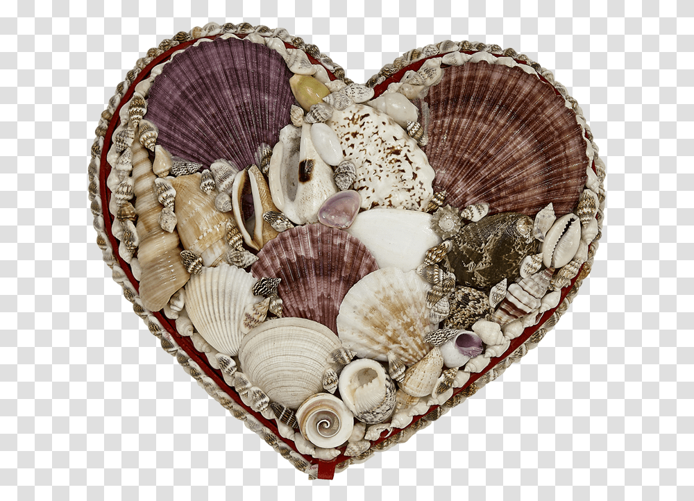 Seashell Jewelry Heart Shaped Box Shell Heart Shaped Box, Sea Life, Animal, Clam, Invertebrate Transparent Png