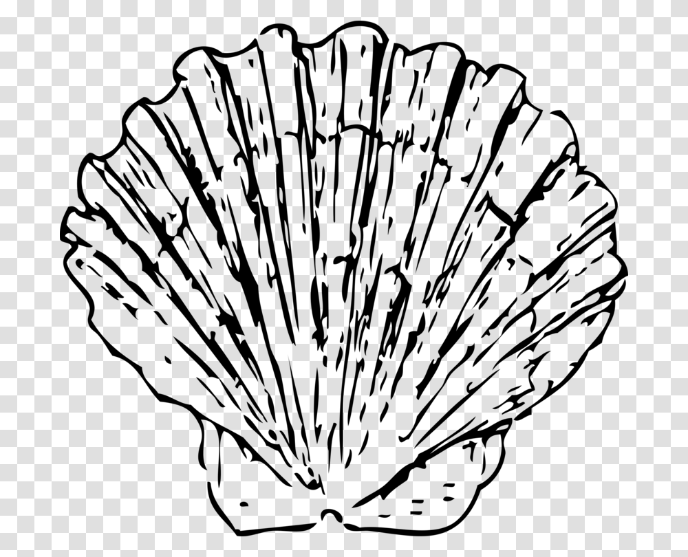 Seashell Pectinidae Drawing White Mollusc Shell, Gray, World Of Warcraft Transparent Png