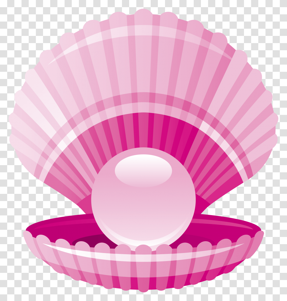Seashell Pink Fresh Shell Sea Shell Clipart, Clam, Invertebrate, Sea Life, Animal Transparent Png
