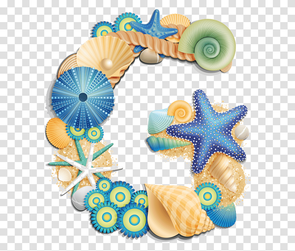 Seashell Sea Shells On Beach Clipart Sea Shells Clipart, Sea Life, Animal, Invertebrate, Clam Transparent Png