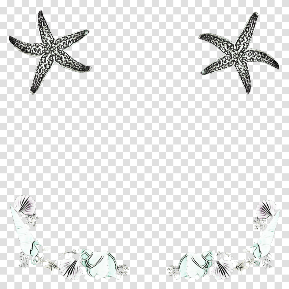 Seashell Seashells Cones Starfish Aquatic Ocean, Accessories, Accessory, Jewelry, Star Symbol Transparent Png